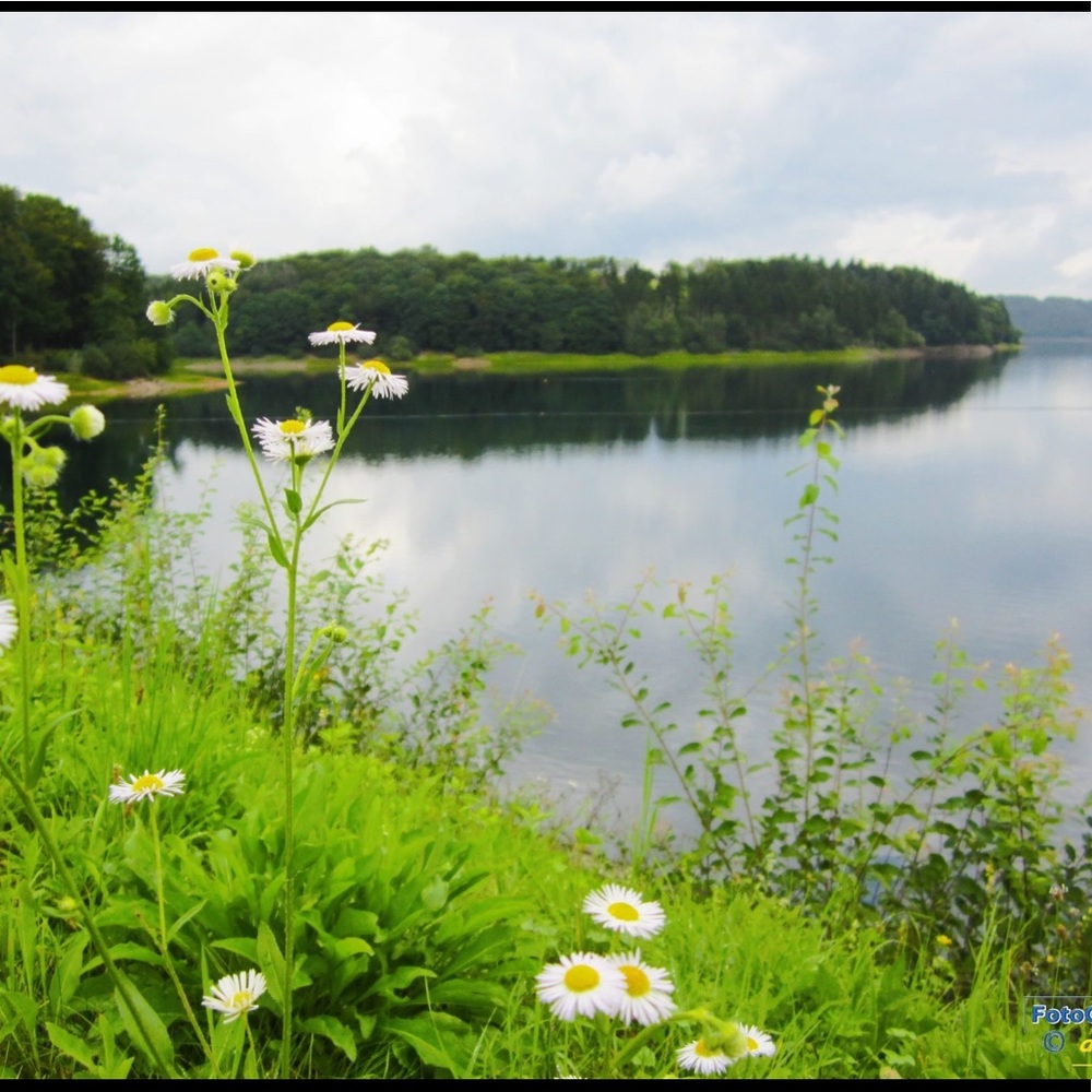 Meet your Posher, Ana